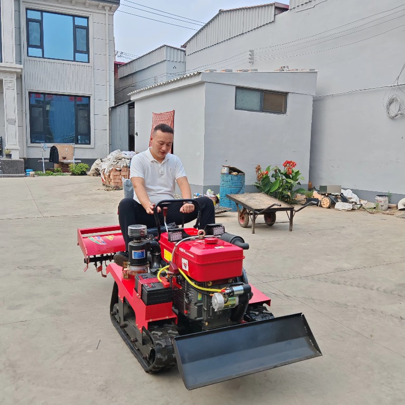 Ride On Farm Rotary Tiller Mul - đánh giá và giá Drill Press
