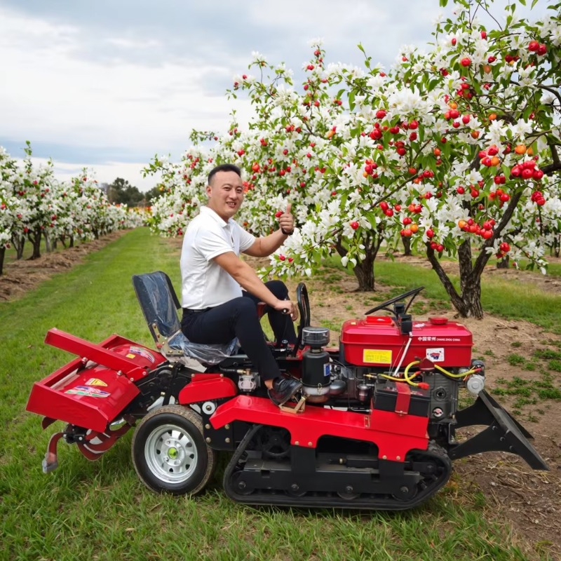 Ride On Farm Rotary Tiller Mul - đánh giá và giá Drill Press